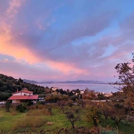 Ολόκληρος Όροφος Αγροτική Οικία Leilighet Néos Pírgos Eksteriør bilde