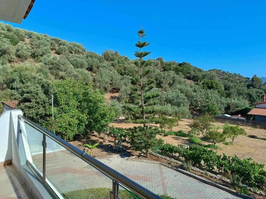 Ολόκληρος Όροφος Αγροτική Οικία Leilighet Néos Pírgos Eksteriør bilde