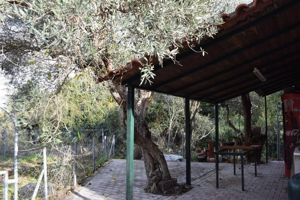 Ολόκληρος Όροφος Αγροτική Οικία Leilighet Néos Pírgos Eksteriør bilde