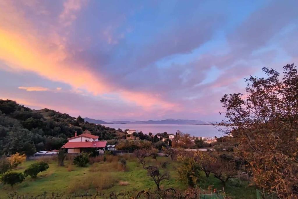 Ολόκληρος Όροφος Αγροτική Οικία Leilighet Néos Pírgos Eksteriør bilde
